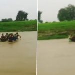 Madhya Pradesh: Villagers Carry Pregnant Woman on Cot, Risk Life by Crossing River To Take Her to Hospital in Shahpur Town (Watch Video)